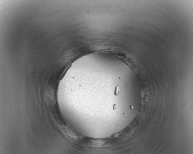 X0000077990380200611171801