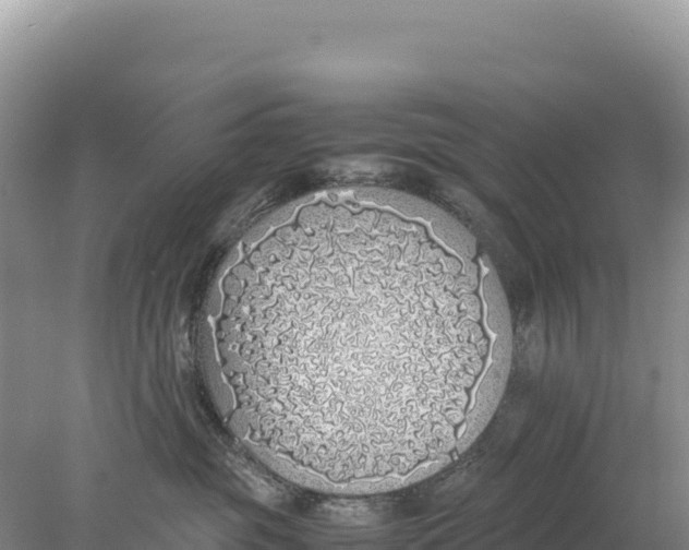 X0000077990381200611171801