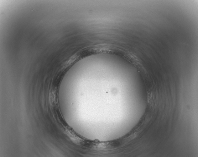 X0000077990382200611171801