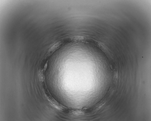 X0000077990383200611171801