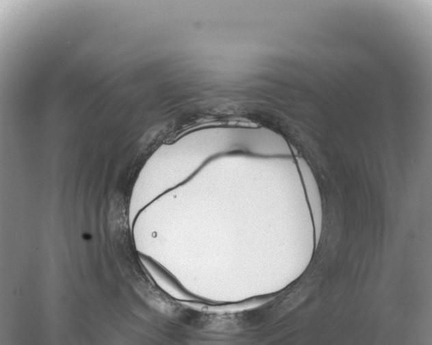 X0000077990384200611171801