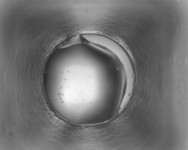 X0000077990385200611171800