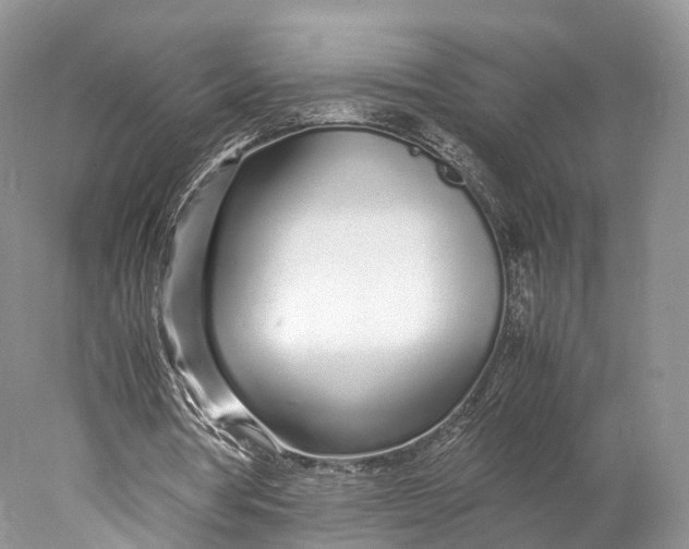 X0000077990386200611171800