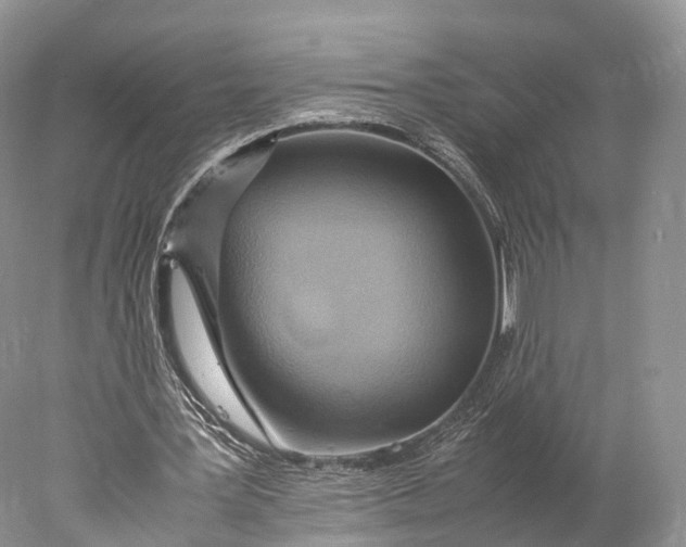 X0000077990387200611171800