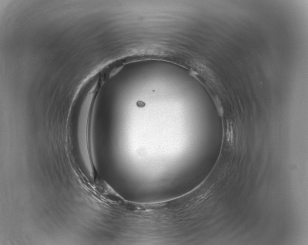 X0000077990388200611171800