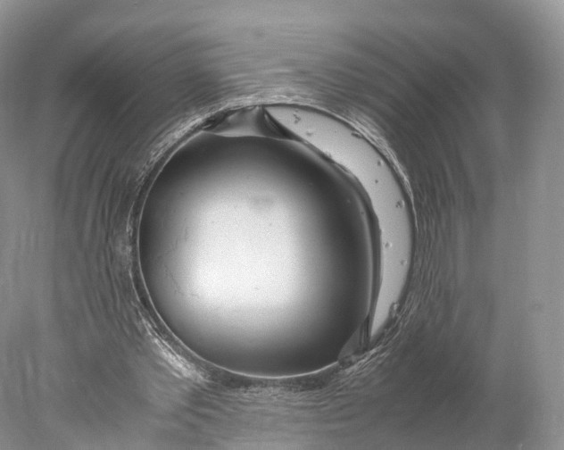 X0000077990389200611171800