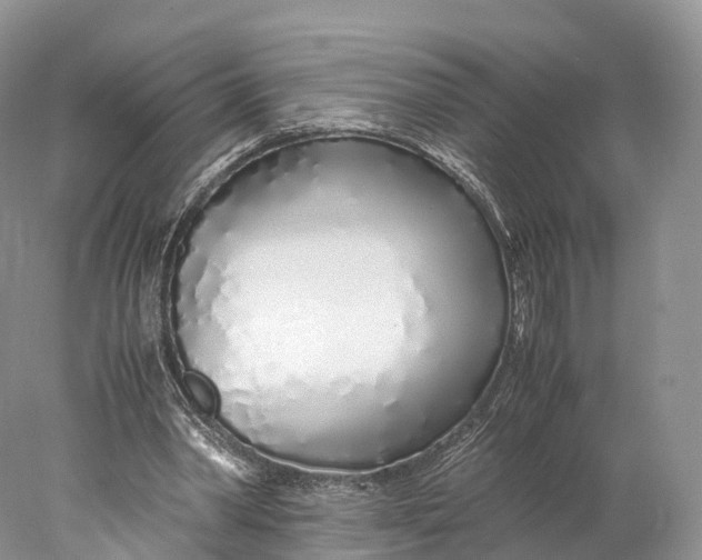 X0000077990390200611171800