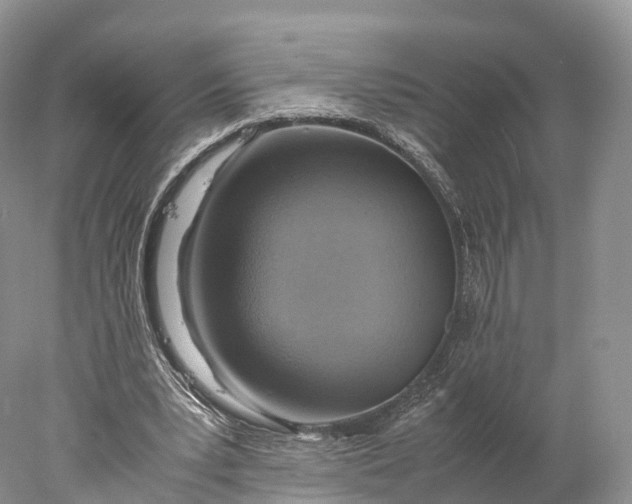 X0000077990391200611171800