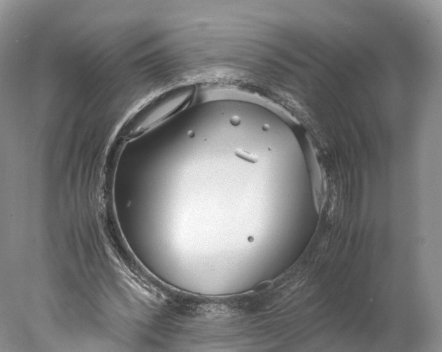 X0000077990392200611171800