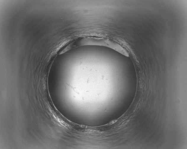 X0000077990393200611171800