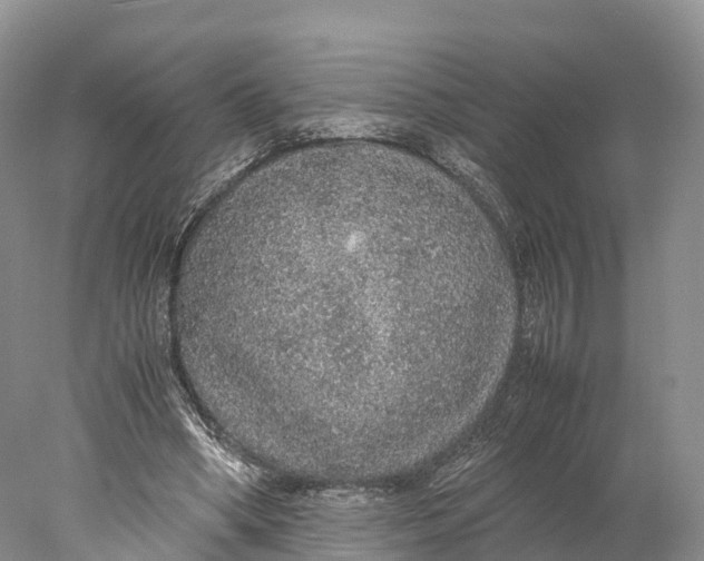 X0000077990394200611171800