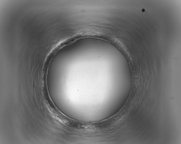 X0000077990395200611171800