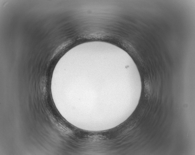 X0000077990396200611171800