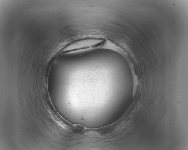 X0000077990397200611171800