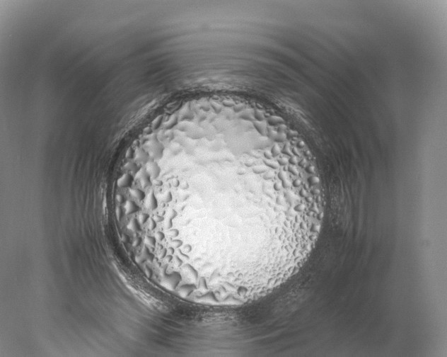 X0000077990398200611171800