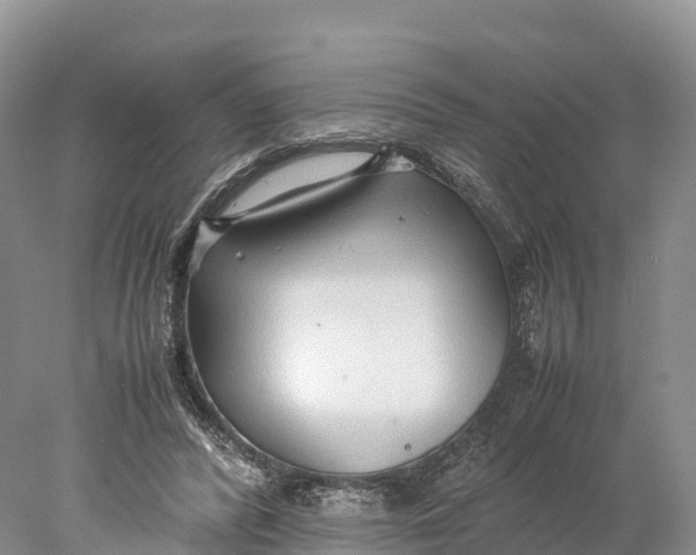 X0000077990400200611171800