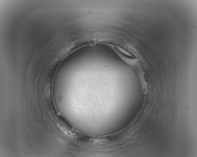 X0000077990401200611171800