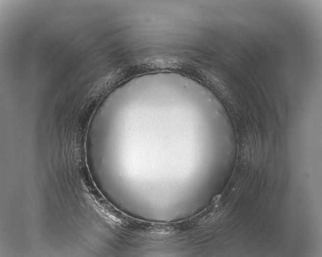 X0000077990402200611171800