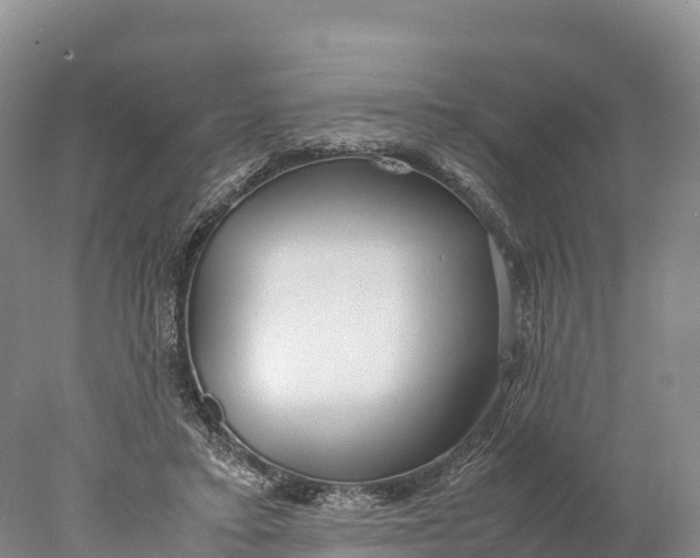 X0000077990403200611171800