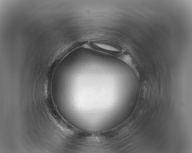 X0000077990404200611171800