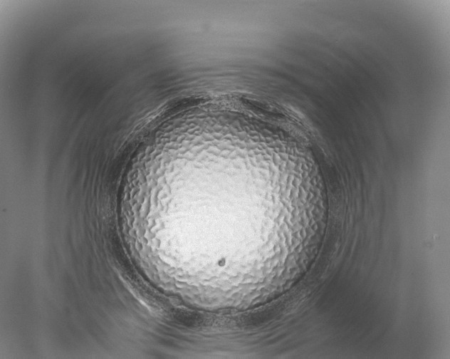 X0000077990405200611171800