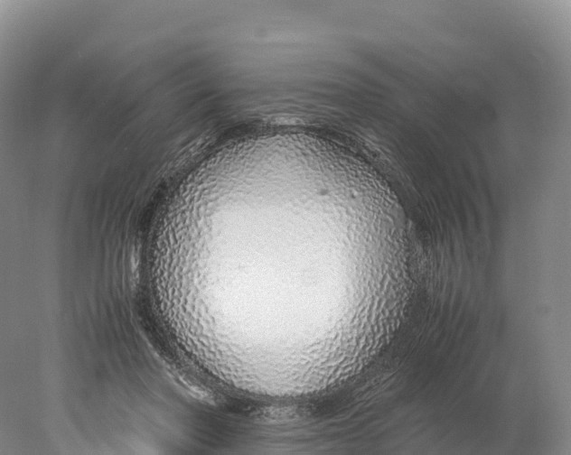 X0000077990406200611171800