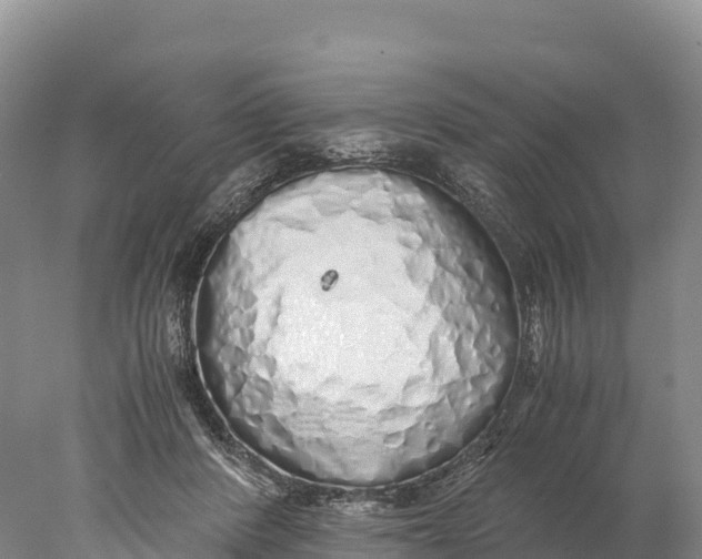 X0000077990408200611171800