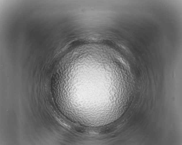 X0000077990409200611171800