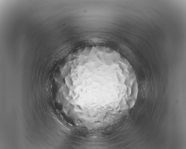 X0000077990410200611171800