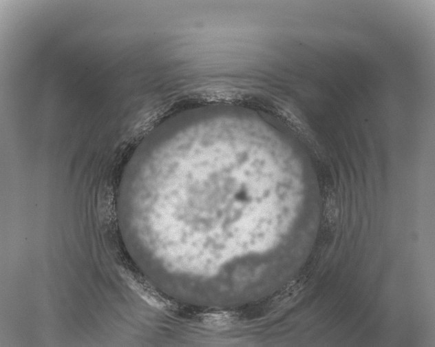 X0000077990411200611171800