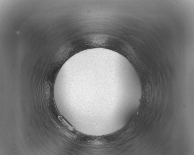 X0000077990412200611171759