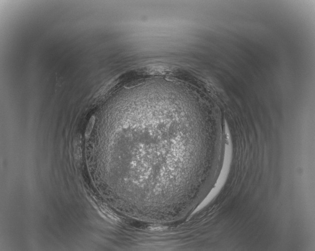 X0000077990413200611171759