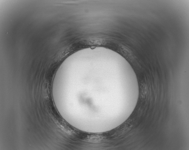 X0000077990414200611171759