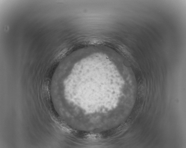 X0000077990415200611171759