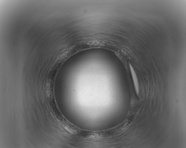 X0000077990416200611171759