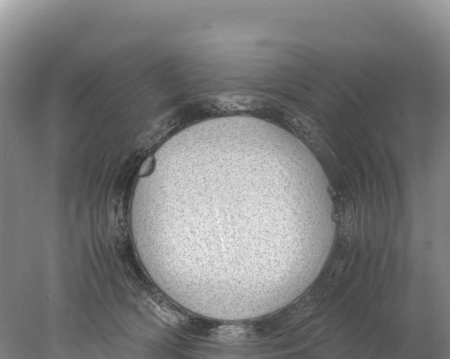 X0000077990418200611171759