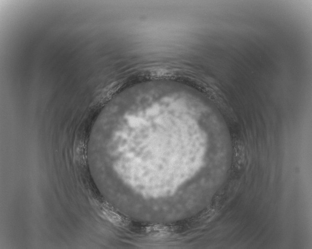 X0000077990419200611171759