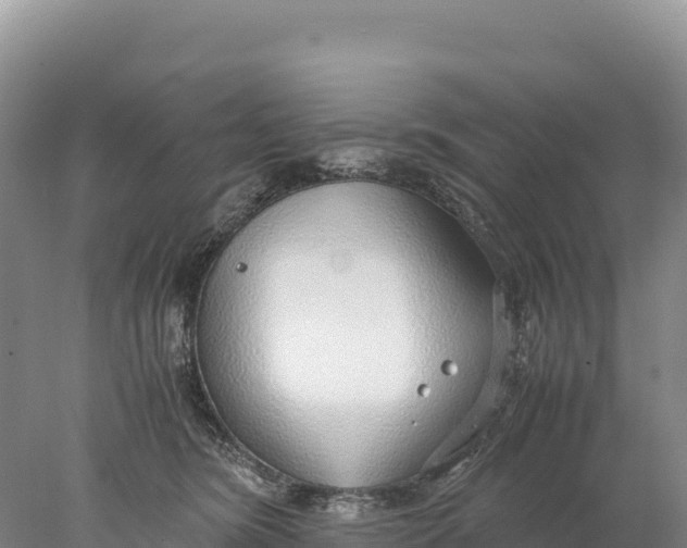 X0000077990420200611171759