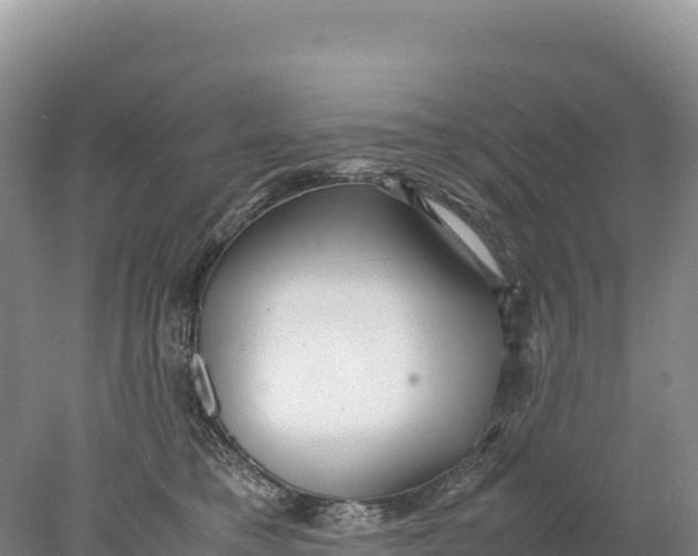 X0000077990421200611171759