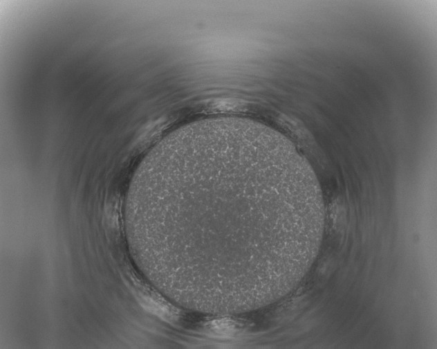 X0000077990423200611171759