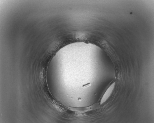 X0000077990424200611171759