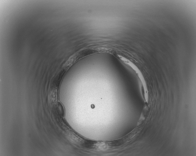 X0000077990425200611171759