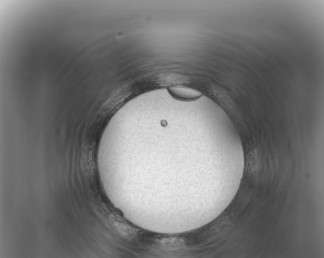 X0000077990426200611171759