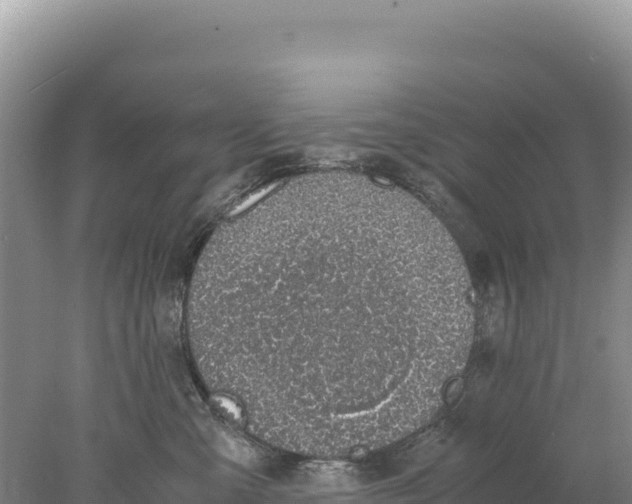 X0000077990427200611171759