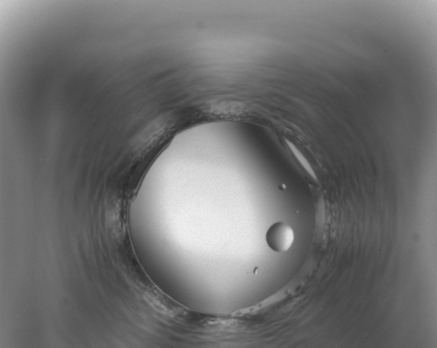 X0000077990428200611171759