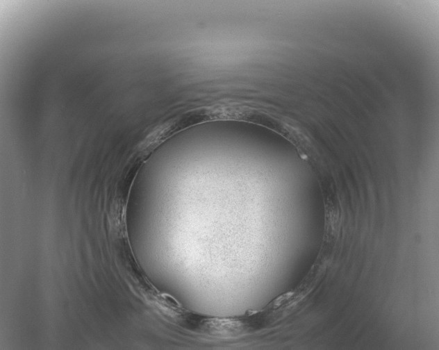 X0000077990429200611171759