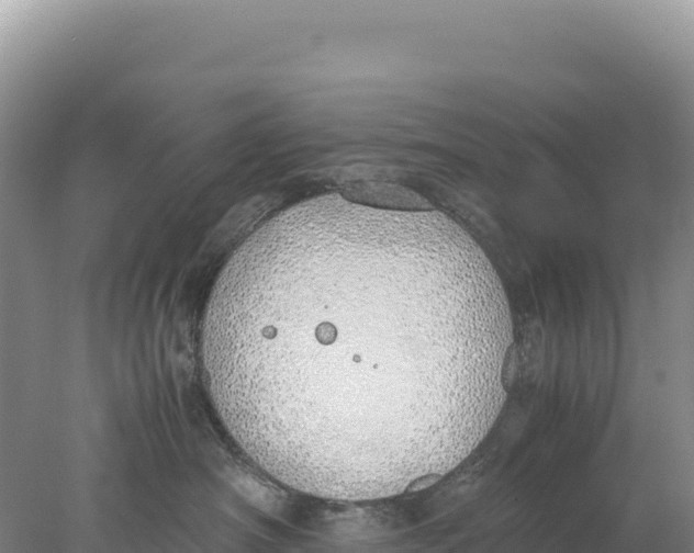 X0000077990430200611171759