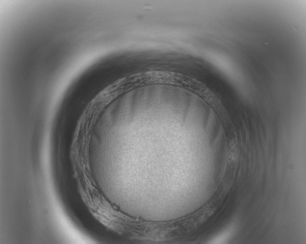 X0000077990431200611171759