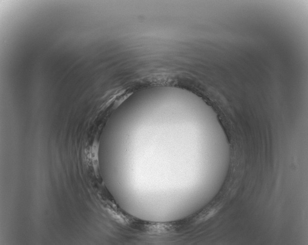 X0000077990432200611171759