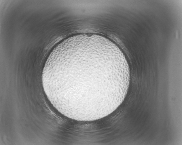 X0000077990433200611171758